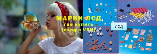spice Алзамай