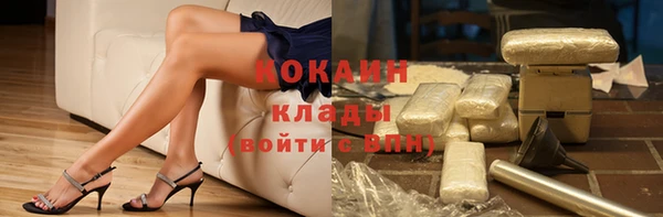 spice Алзамай