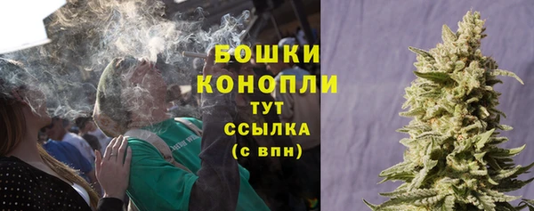 сатива Абаза