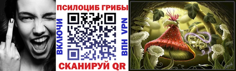 Галлюциногенные грибы GOLDEN TEACHER  наркота  Ухта 